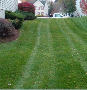 lawn mowing in wheaton md the mowing pros