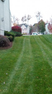 hire, lawn mowing, lawn service, lawn care, bowie, crofton, laurel, annapolis, riva, edgewater, ocean pines, ocean city. bethany beach de, fenwick island de, columbia, upper marlboro, hyattsville 