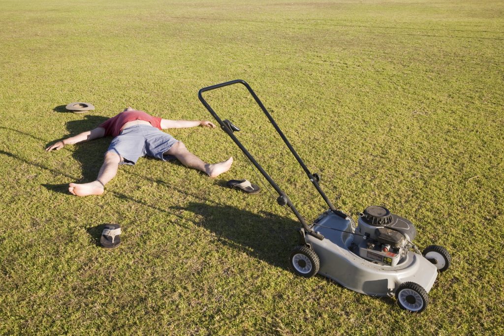 not always cheaper to do it yourself, hire The Mowing Pros