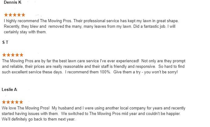 the mowing pros reviews glenn dale www.themowingpros.com